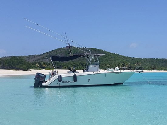 Water taxi anchored in beautiful blue water near the shore.